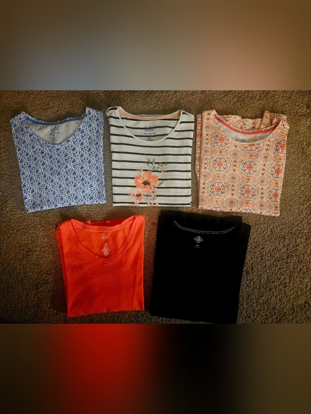 Womens XXL Essential Classic Cotton Tee Bundle set of 5 short sleeve tops